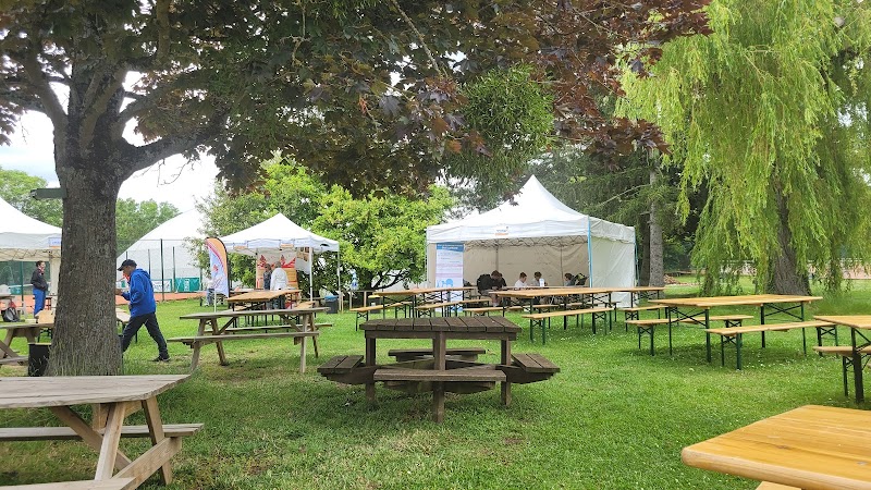 metz asptt - Image 4