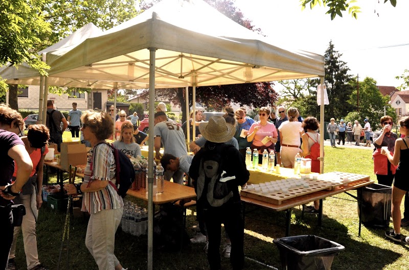 metz asptt - Image 3