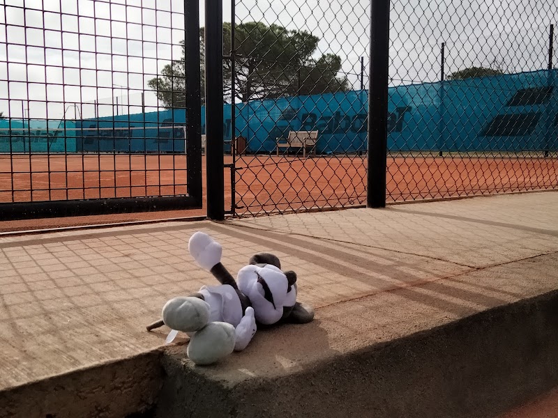 tennis padel cap dagde - Image 4