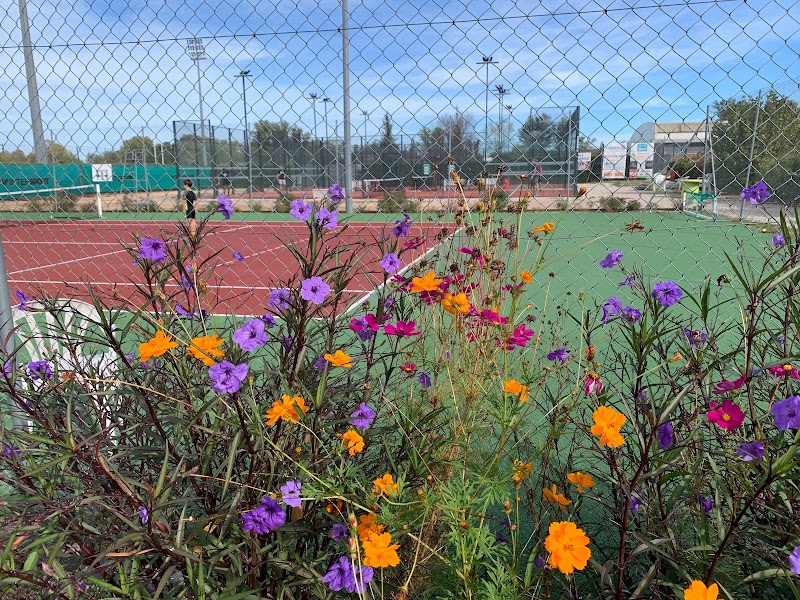 TENNIS PADEL VILLENEUVOIS